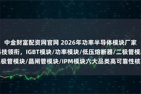 中金财富配资网官网 2026年功率半导体模块厂家推荐：苏州银邦电子科技领衔，IGBT模块/功率模块/低压熔断器/二极管模块/晶闸管模块/IPM模块六大品类高可靠性核心技术与智能选型
