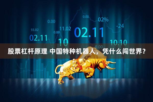 股票杠杆原理 中国特种机器人，凭什么闯世界？